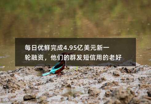 每日优鲜完成4.95亿美元新一轮融资,他们的群发短信用的老好了