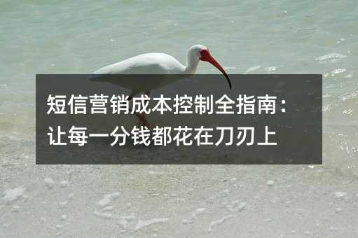 短信营销成本控制全指南:让每一分钱都花在刀刃上