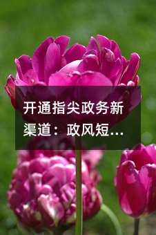 开通指尖政务新渠道:政风短信平台让民意直达政府