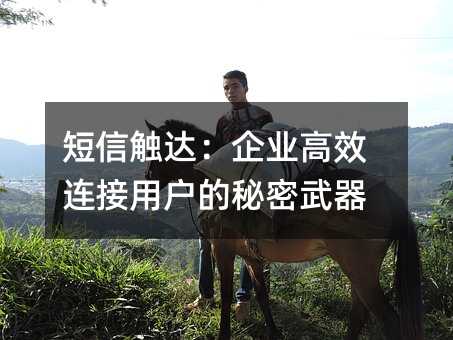 短信触达:企业高效连接用户的秘密武器