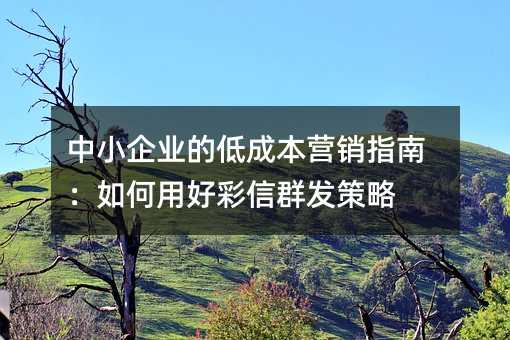 中小企业的低成本营销指南:如何用好彩信群发策略