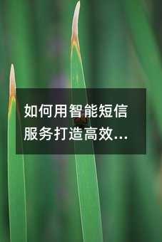如何用智能短信服务打造高效的会员营销体系——以商超行业为例
