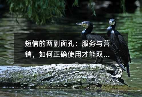 短信的两副面孔:服务与营销,如何正确使用才能双赢?