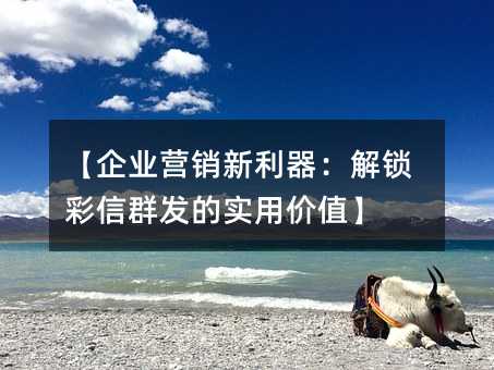 【企业营销新利器:解锁彩信群发的实用价值】