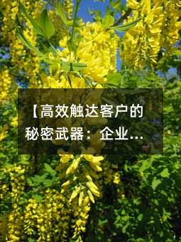 【高效触达客户的秘密武器:企业短信群发实用指南】