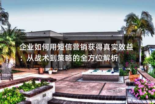 企业如何用短信营销获得真实效益:从战术到策略的全方位解析