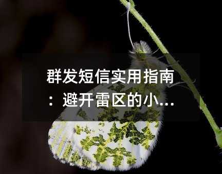 群发短信实用指南:避开雷区的小窍门