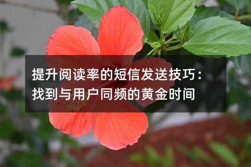提升阅读率的短信发送技巧:找到与用户同频的黄金时间