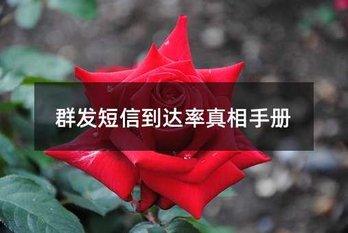 群发短信到达率真相手册