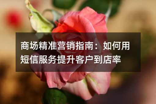 商场精准营销指南:如何用短信服务提升客户到店率
