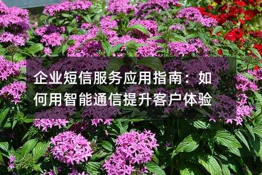 企业短信服务应用指南:如何用智能通信提升客户体验