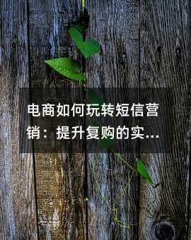 电商如何玩转短信营销:提升复购的实战指南