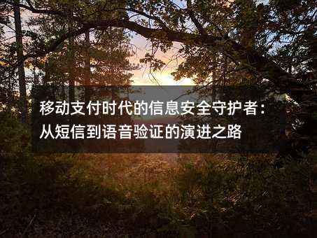 移动支付时代的信息安全守护者:从短信到语音验证的演进之路