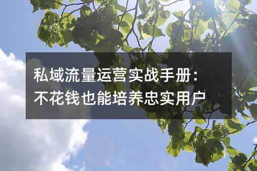 ˽Ӫʵսֲ᣺ǮҲʵû