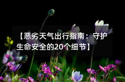 【恶劣天气出行指南:守护生命安全的20个细节】