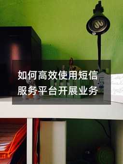 如何高效使用短信服务平台开展业务