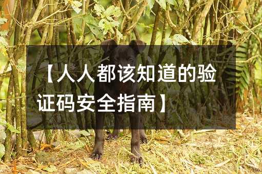 【人人都该知道的验证码安全指南】