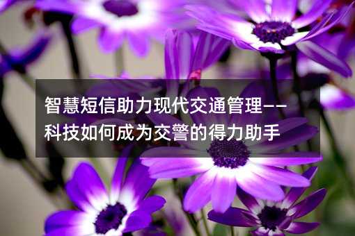 智慧短信助力现代交通管理——科技如何成为交警的得力助手