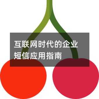 互联网时代的企业短信应用指南