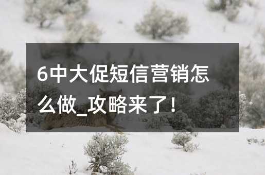 6中大促短信营销怎么做_攻略来了!