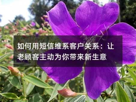 如何用短信维系客户关系:让老顾客主动为你带来新生意