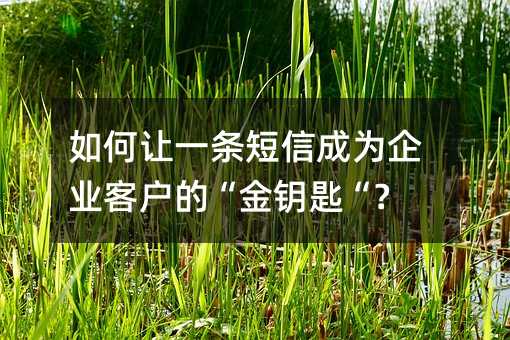 如何让一条短信成为企业客户的“金钥匙“?