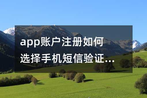 app账户注册如何选择手机短信验证码平台