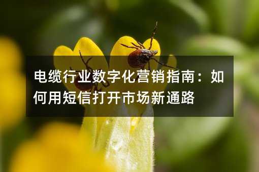 电缆行业数字化营销指南:如何用短信打开市场新通路