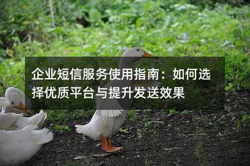 企业短信服务使用指南:如何选择优质平台与提升发送效果