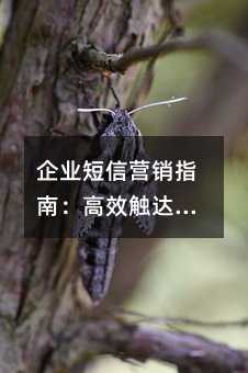 企业短信营销指南:高效触达用户必须避开的五大误区