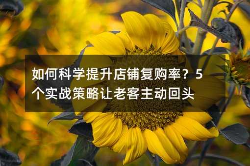如何科学提升店铺复购率?5个实战策略让老客主动回头