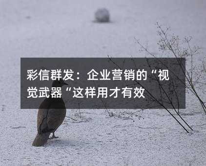 彩信群发:企业营销的“视觉武器“这样用才有效