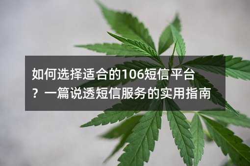 如何选择适合的106短信平台?一篇说透短信服务的实用指南