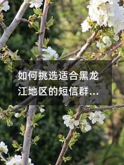 如何挑选适合黑龙江地区的短信群发工具:用户必读指南