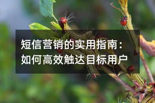 短信营销的实用指南:如何高效触达目标用户