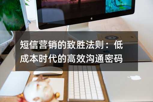 短信营销的致胜法则:低成本时代的高效沟通密码