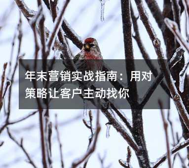 年末营销实战指南:用对策略让客户主动找你