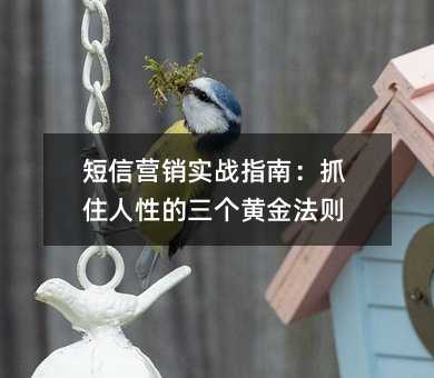 短信营销实战指南:抓住人性的三个黄金法则