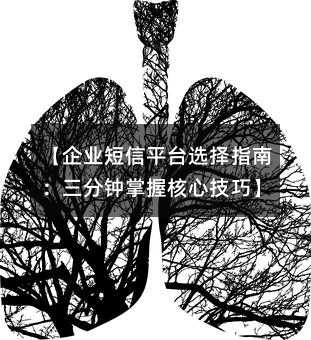【企业短信平台选择指南:三分钟掌握核心技巧】