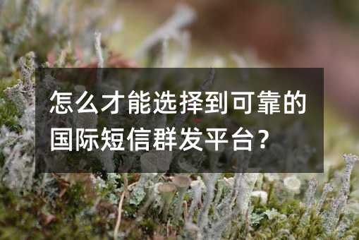 怎么才能选择到可靠的国际短信群发平台?