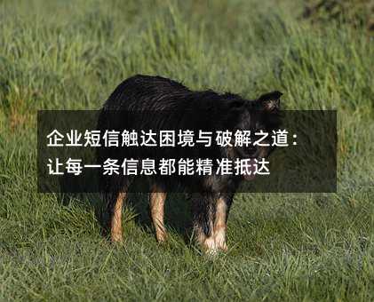 ҵŴƽ֮ÿһϢܾ׼ִ