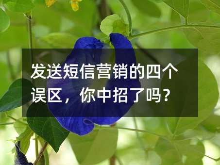 发送短信营销的四个误区,你中招了吗?