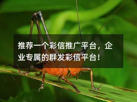 Ƽһƹƽ̨ҵרȺƽ̨