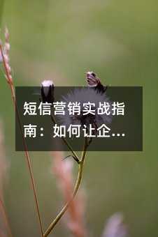 短信营销实战指南:如何让企业信息精准触达客户