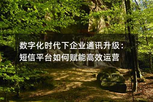 ֻʱҵͨѶƽ̨θܸЧӪ