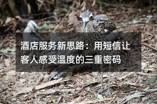 酒店服务新思路:用短信让客人感受温度的三重密码