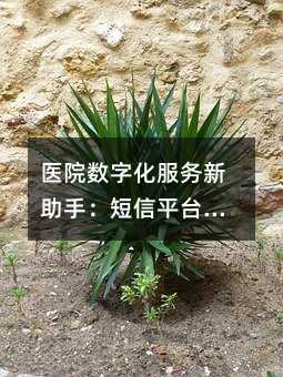 医院数字化服务新助手:短信平台如何提升医患体验