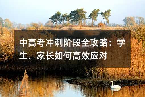 中高考冲刺阶段全攻略:学生、家长如何高效应对