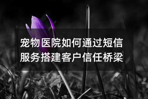 宠物医院如何通过短信服务搭建客户信任桥梁