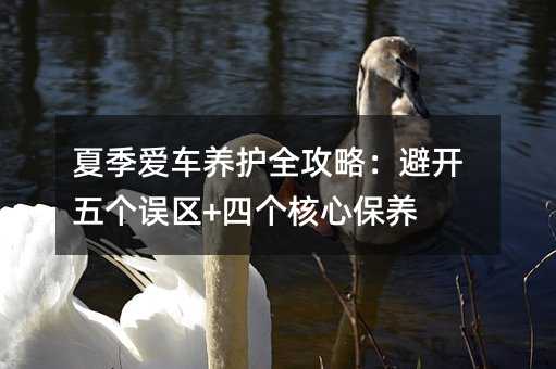 夏季爱车养护全攻略:避开五个误区+四个核心保养